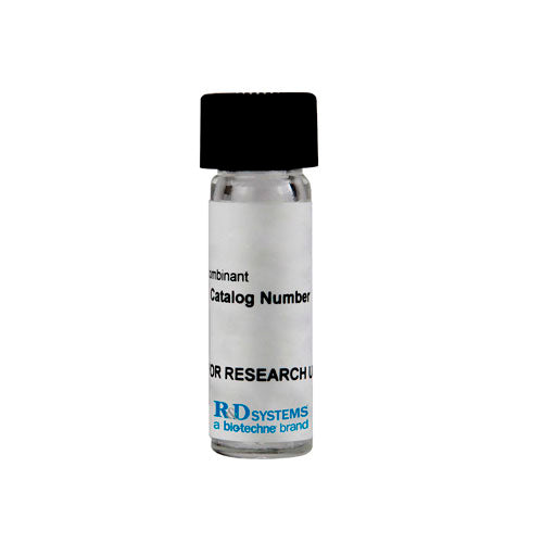 31415. RECOMBINANT HUMAN MMP-3 WESTERN BLOT STANDARD PROTEIN VIAL R&D SYSTEMS