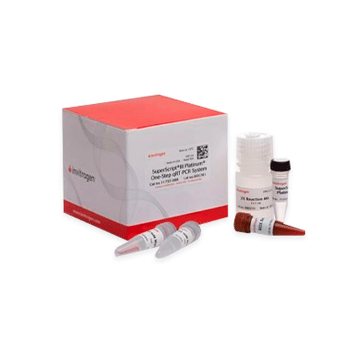 18044. KIT DE QRT-PCR EN UN SOLO PASO SUPERSCRIPT III PLATINUM 500 REACCIONES - INVITROGEN