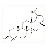 18525. STD LUPEOL 20MG - EXTRASYNTHESE