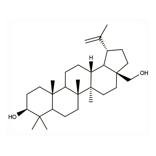 18526. STD BETULIN 100MG - EXTRASYNTHESE