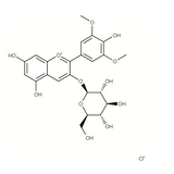 18538. STD OENIN CHLORIDE 10MG - EXTRASYNTHESE