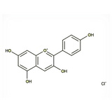 17967. STD PELARGONIDIN CHLORIDE 97% 10MG EXTRASYNTHESE