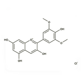 17968. STD MALVIDIN CHLORIDE 97% 10MG - EXTRASYNTHESE
