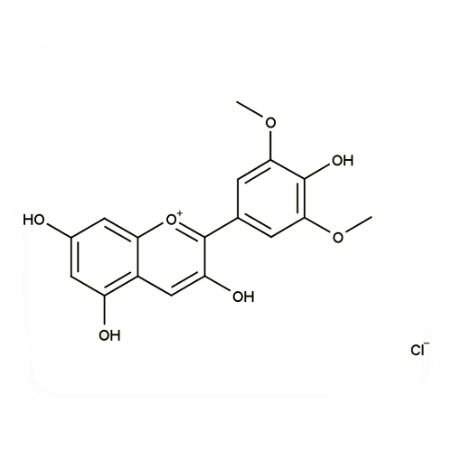 17968. STD MALVIDIN CHLORIDE 97% 10MG - EXTRASYNTHESE