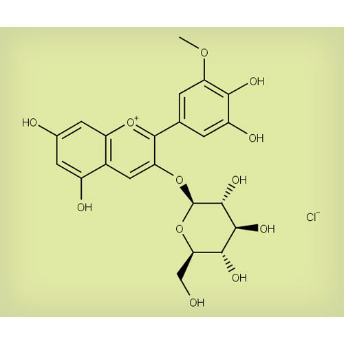 26099. STD CLORURO DE PETUNIDINA-3-O-GLUCOSIDO 5MG EXTRASYNTHESE