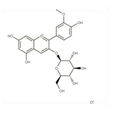 18539. STD PEONIDIN-3-O-GLUCOSIDE CHLORIDE 5MG - EXTRASYNTHESE