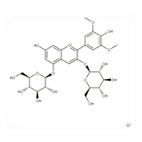 18540. STD MALVIN CHLORIDE 10MG - EXTRASYNTHESE