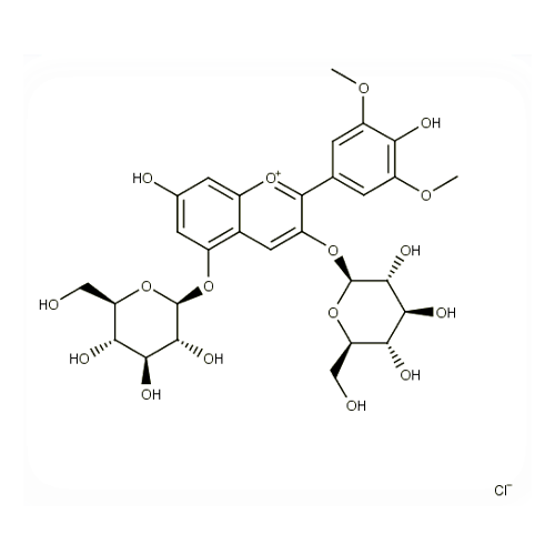 18540. STD MALVIN CHLORIDE 10MG - EXTRASYNTHESE