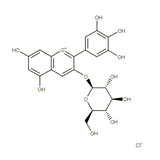 18541. STD MIRTYLLIN CHLORIDE 10MG - EXTRASYNTHESE
