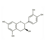 17980. STD (+)-CATEQUINA 20MG - EXTRASYNTHESE
