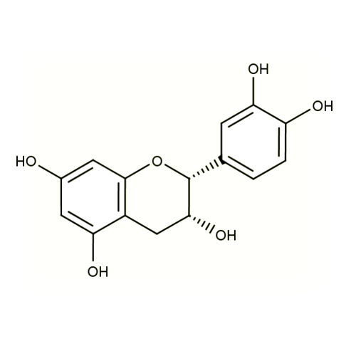 18542. STD (-)-EPICATECHIN 10MG - EXTRASYNTHESE