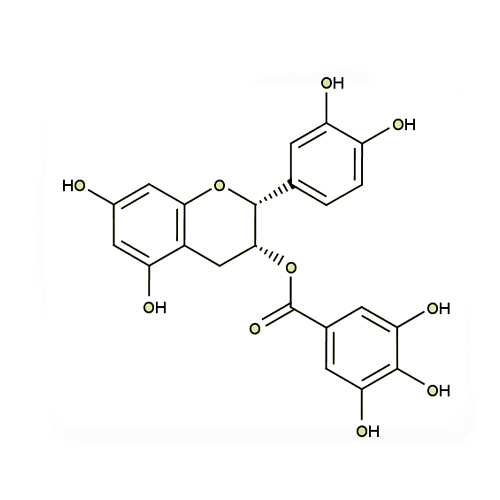 17966. STD (-)-EPICATECHIN GALLATE 20MG - EXTRASYNTHESE