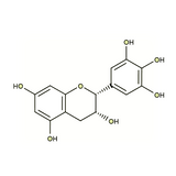 17964. STD (-)-EPILLOCATECHIN 20MG - EXTRASYNTHESE