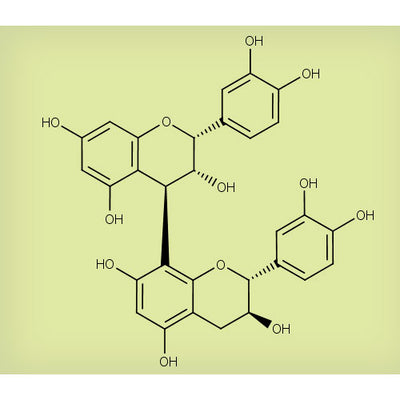 26100. STD PROCIANIDINA B1, 5MG  EXTRASYNTHESE