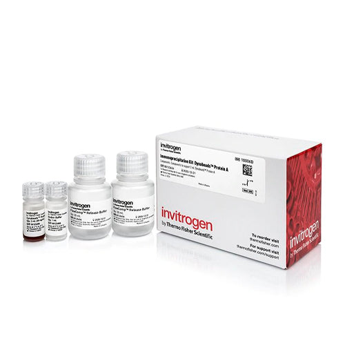 4494. KIT DE INMUNOPRECIPITACION DE PROTEINA A DYNABEADS 40 REACCIONES - INVITROGEN