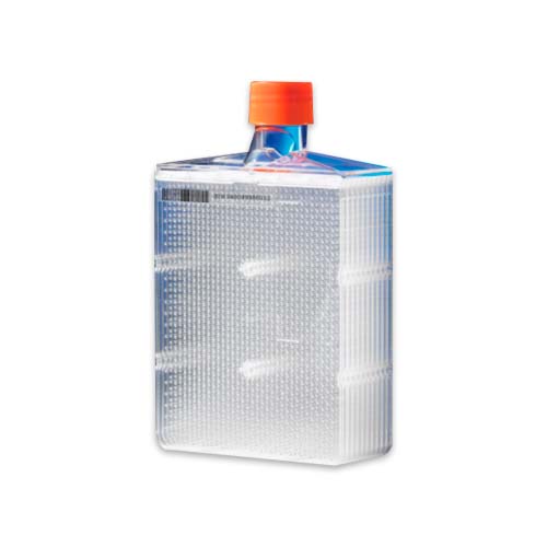 15380. FRASCO P/CULTIVO CELULAR 560ML CELLBIND, TRATADA ESTERIL C/CODIGO DE BARRAS Y TAPA NARANJA CAJA C/24 PIEZAS - CORNING