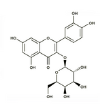 17981. STD HYPEROSIDE 10MG - EXTRASYNTHESE