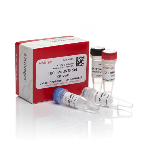 3597. DNTP SET (100 MM) 4 X 250UL - INVITROGEN
