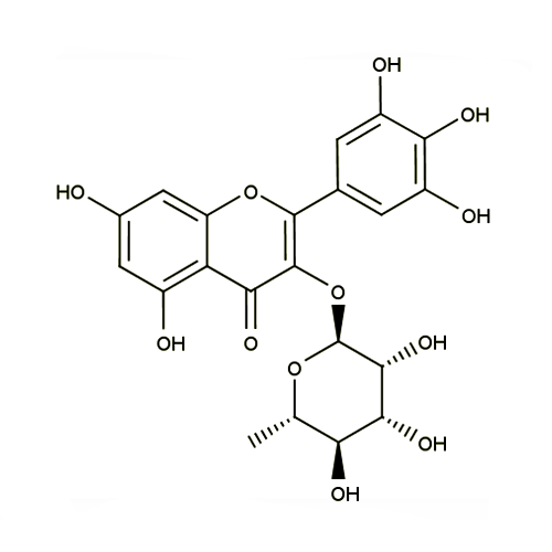 17972. STD MYRICITRIN 10MG - EXTRASYNTHESE