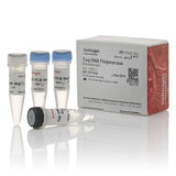 53615. TAQ DNA POLIMERASA RECOMBINANTE (CLONADA) 3X500U - INVITROGEN