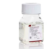 53707. PENICILINA-ESTREPTOMICINA-GLUTAMINA (100X) 100ML GIBCO
