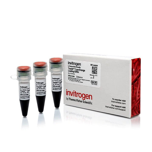 4484. BUFFER DE RECARGA CYAN/ORANGE 3 X 0.5ML - INVITROGEN