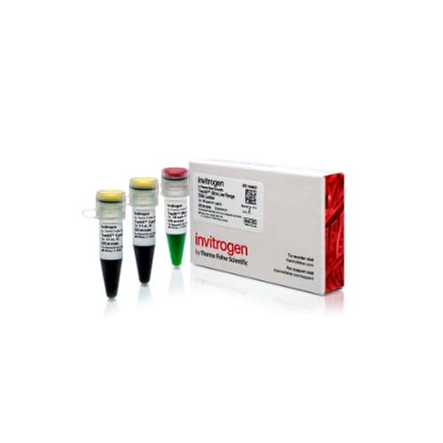 21883. TRACK IT ULTRA LOW RANGE DNA LADDER 50UG - INVITROGEN