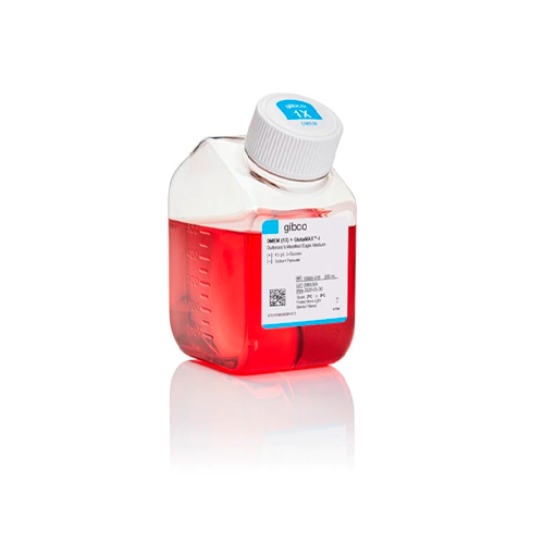 20002. DMEM GLUCOSA ALTA, SUPLEMENTO GLUTAMAX 500ML - GIBCO