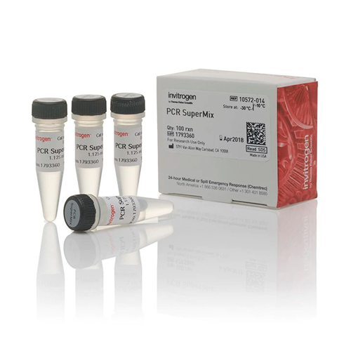 18049. PCR SUPERMIX 100 REACCIONES - INVITROGEN