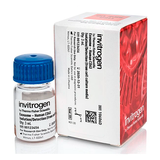 5945. REACTIVO DE AISLAMIENTO/DETECCION DE EXOSOMAS HUMANOS CD63, 3ML - INVITROGEN
