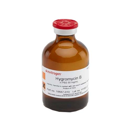 12810.HIGROMICINA B 50MG/ML 20ML - GIBCO