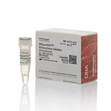 53524. INHIBIDOR DE RIBONUCLEASA RECOMBINANTE RNASEOUT 5000U - INVITROGEN