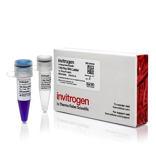53564. ESTANDAR DE ADN 1KB PLUS 250UG - INVITROGEN