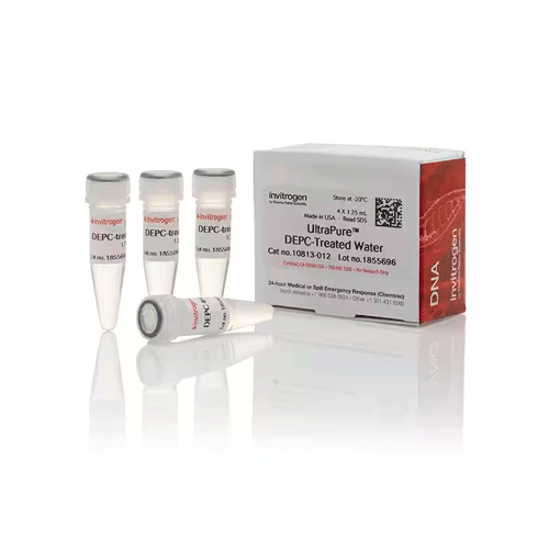 26859. AGUA ULTRAPURA TRATADA-DEPC 4 X 1.25ML INVITROGEN