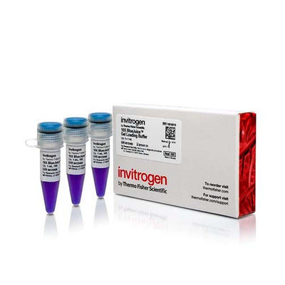 21889. BLUEJUICE GEL LOADING BUFFER (10X) 3X1ML - INVITROGEN