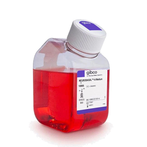 53412. MEDIO NEUROBASAL A 500ML - GIBCO
