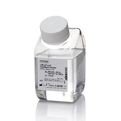 53565. AGUA DESTILADA ULTRAPURE SIN ADNASA / ARNASA 500ML - INVITROGEN