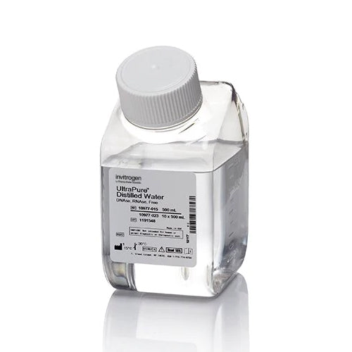 3599. AGUA DESTILADA ULTRAPURE SIN ADNASA / ARNASA 500ML - INVITROGEN