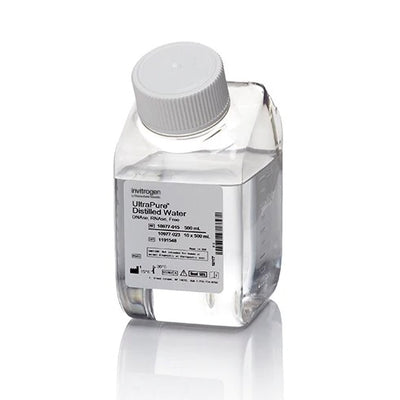53613. AGUA DESTILADA ULTRAPURA LIBRE DE DNASAS/RNASAS C/10 FRASCOS DE 500ML - INVITROGEN