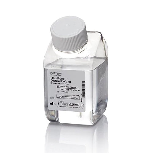 53613. AGUA DESTILADA ULTRAPURA LIBRE DE DNASAS/RNASAS C/10 FRASCOS DE 500ML - INVITROGEN