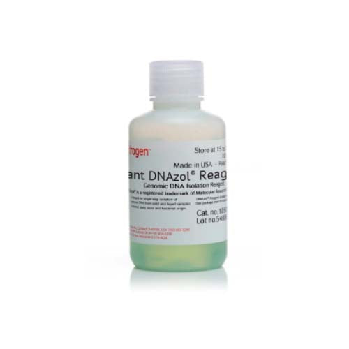 20910. DNAZOL PLANT REAGENT 100ML - INVITROGEN