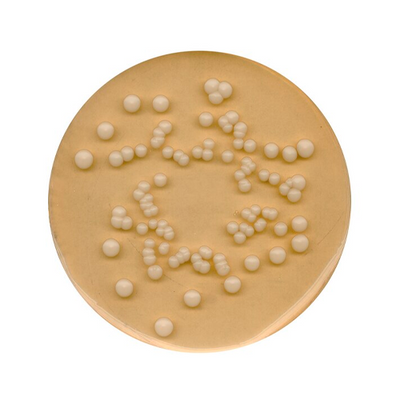 54499. AGAR DEXTROSA Y PAPA P/MICROBIOLOGIA 500GR - MERCK