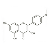 17979. STD KAEMPFERIDE 10MG - EXTRASYNTHESE