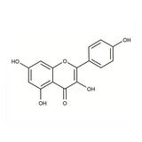 17973. STD KAEMPFEROL 20MG - EXTRASYNTHESE