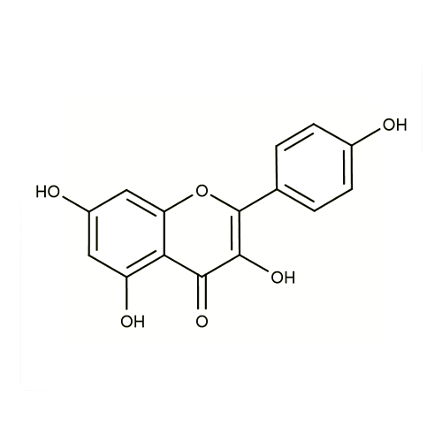 17973. STD KAEMPFEROL 20MG - EXTRASYNTHESE