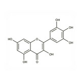 17970. STD MYRICETIN 20MG - EXTRASYNTHESE