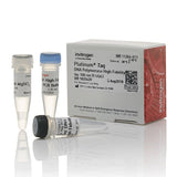 53575. PLATINUM TAQ DNA POLYMERASE HIGH FIDELITY 100 REACCIONES - INVITROGEN