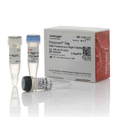 53575. PLATINUM TAQ DNA POLYMERASE HIGH FIDELITY 100 REACCIONES - INVITROGEN