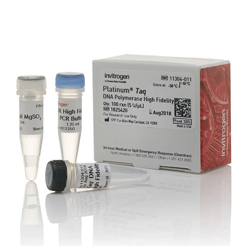 53575. PLATINUM TAQ DNA POLYMERASE HIGH FIDELITY 100 REACCIONES - INVITROGEN
