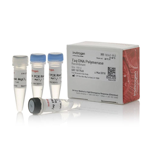 50248. TAQ DNA POLYMERASA 500U - INVITROGEN